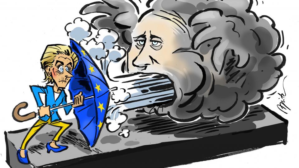 65ede8b0163b56d146cee1055fde12e6